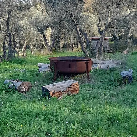 Tatil Evi La Tana Del Porcospino